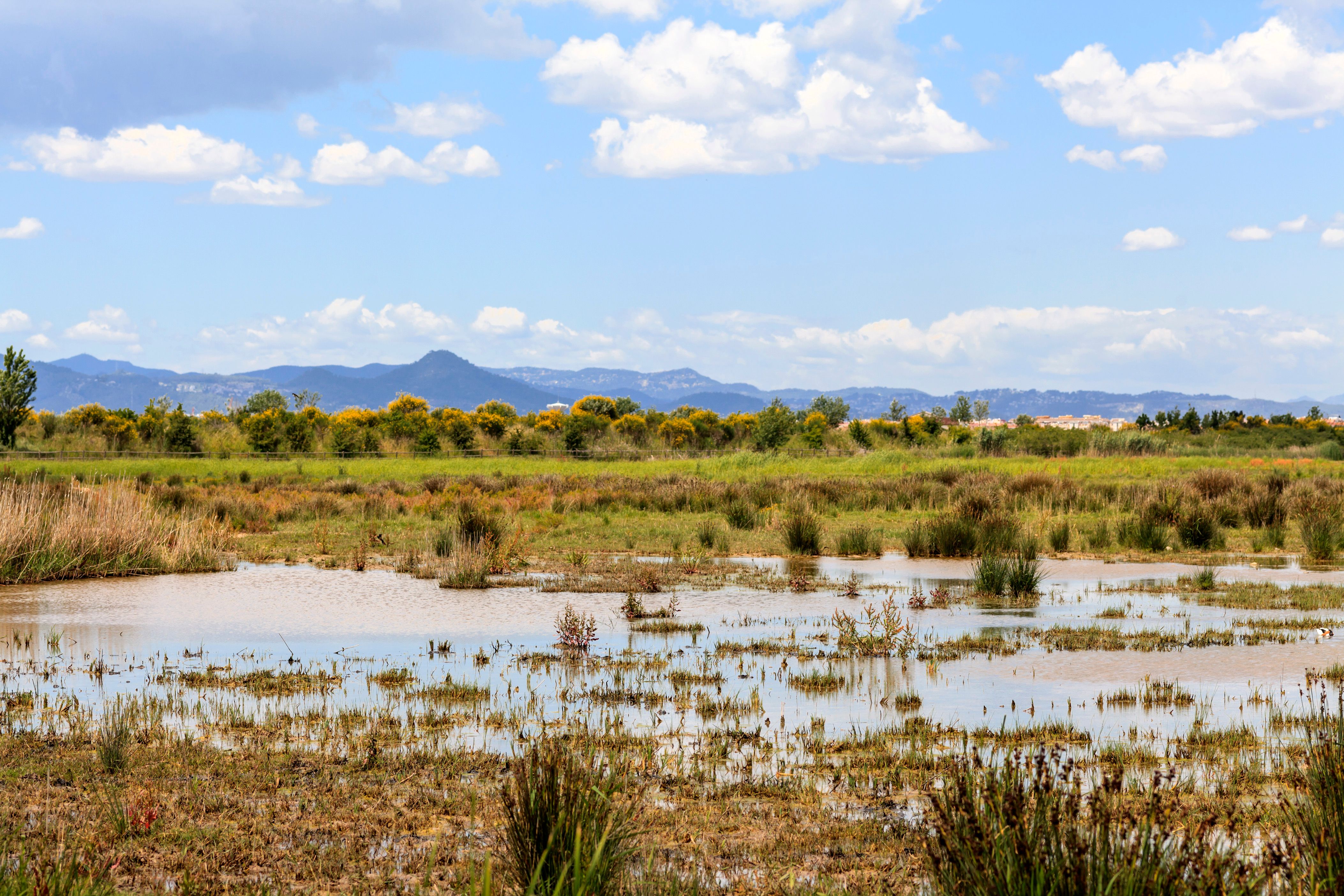 Coches de alquiler en El Prat de Llobregat