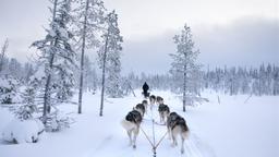 Coches de alquiler en Kuusamo