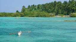 Isla de Cebú hoteles
