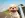 preload