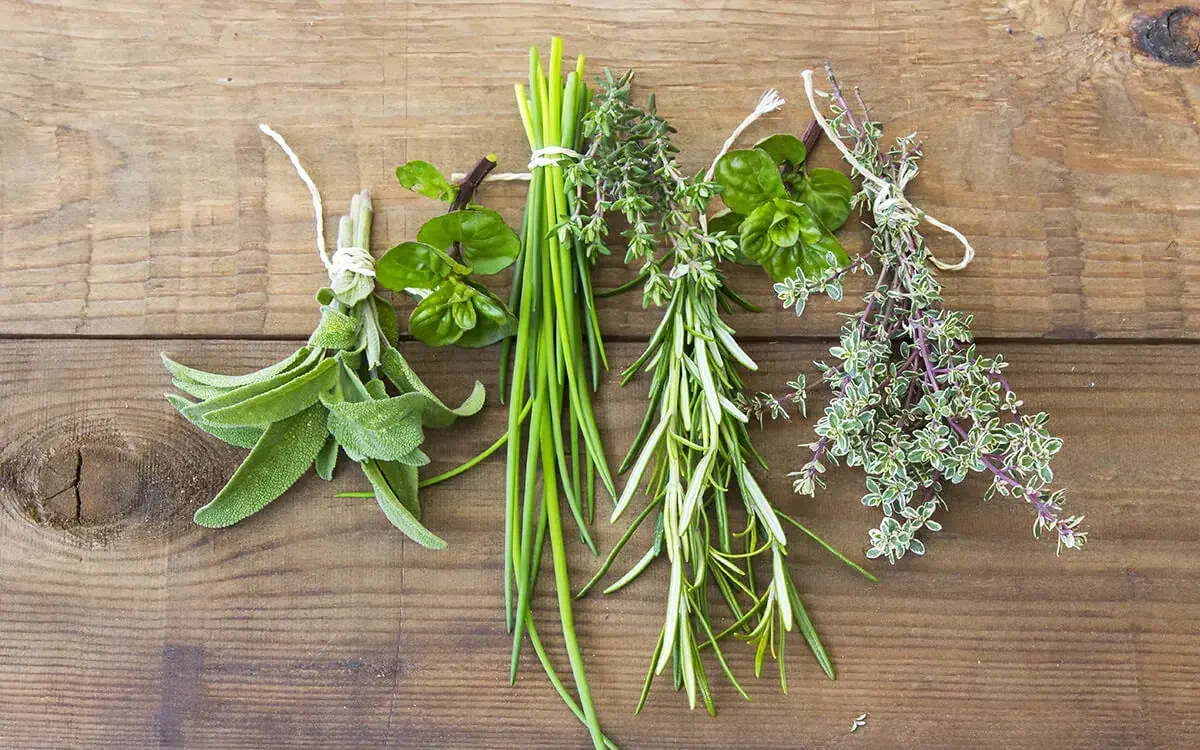 Hierbas medicinales