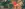 preload