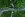 preload