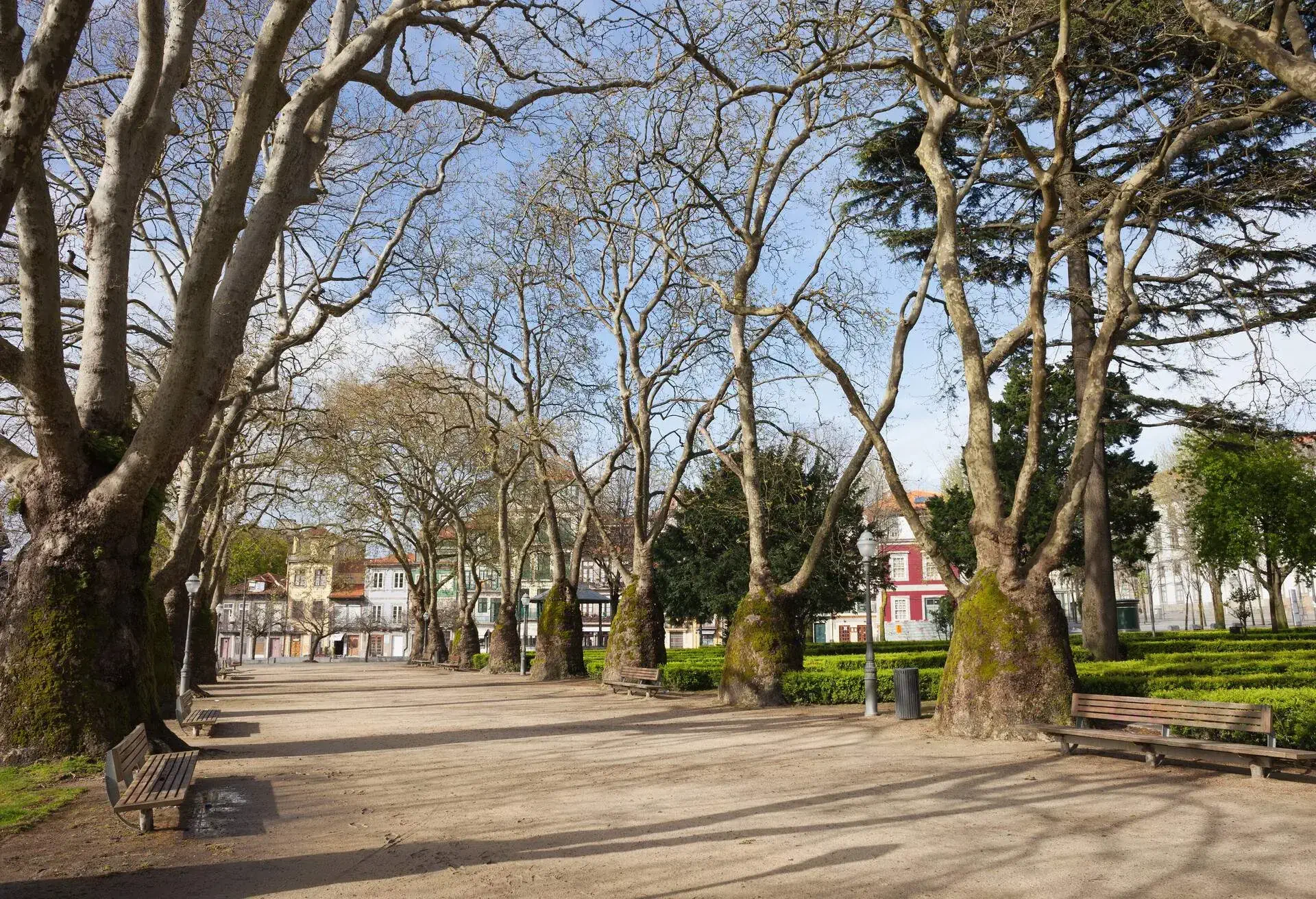 Cordoaria Garden or Joao Chagas Garden in Porto, Portugal in spring.