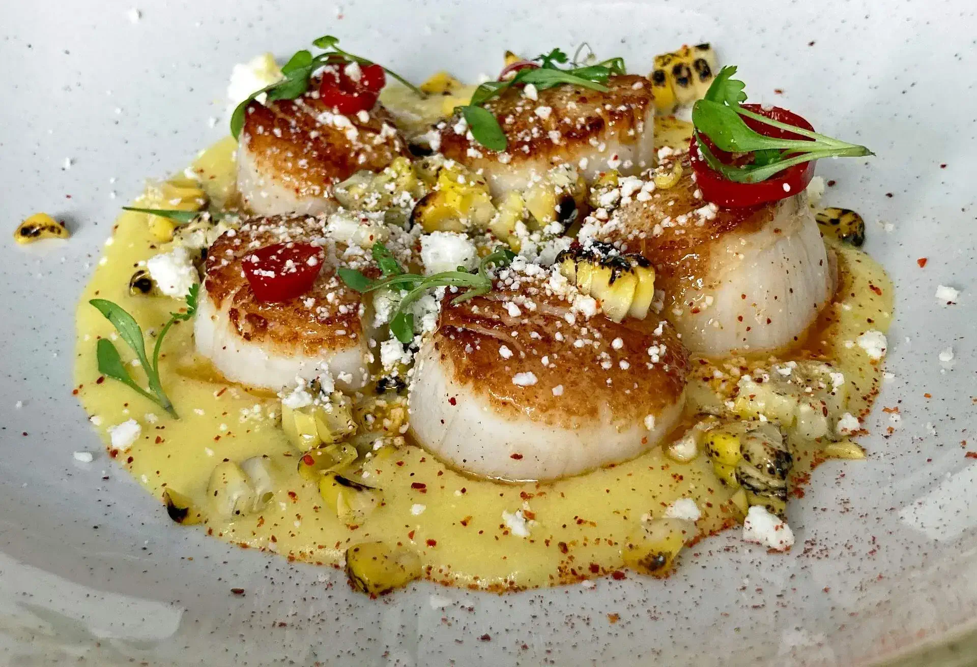 THEME_FOOD_SEARED_SCALLOPS_CREME_GettyImages-1341779871