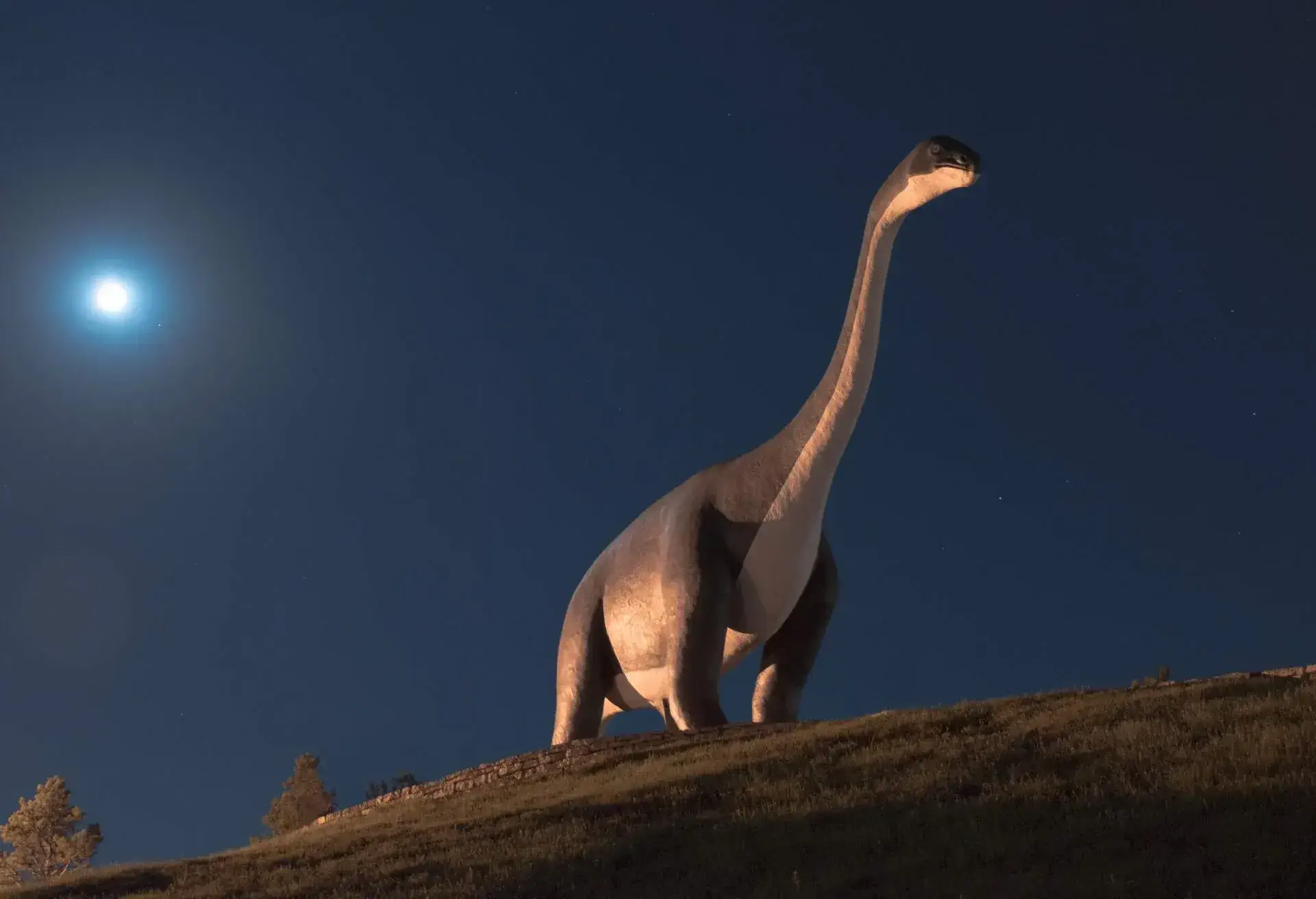 DEST_USA_SOUTH-DAKOTA_RAPID-CITY_DINOSAUR-PARK_shutterstock-portfolio_1172789899