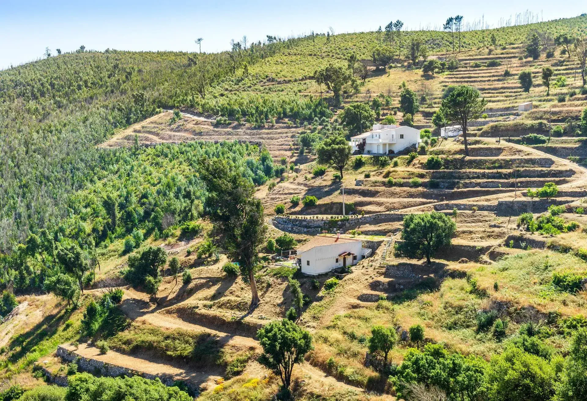 Beautiful landscape of terraced slopes in Sierra da Monchique, Algarve, Portugal