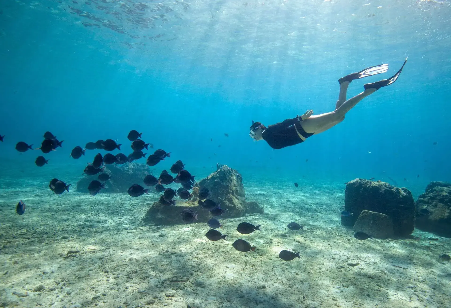 MEXICO_COZUMEL_SNORKELLING