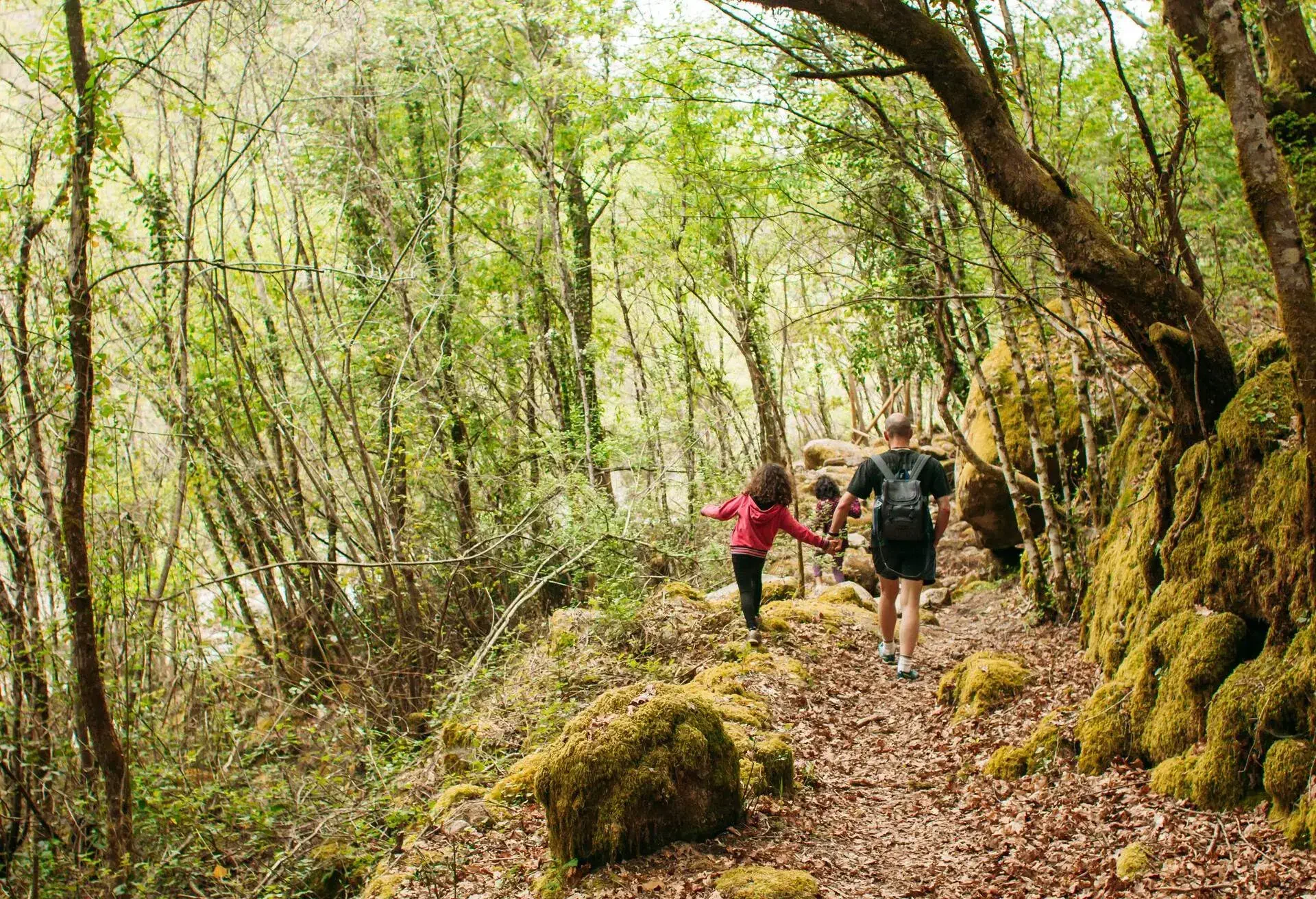Back view of a father holding hands with his 6 year old daughter helping her walk on stones though a walking path on a green forest. Another girl is walking a bit ahead of them. Stones covered in moss and trees full of spring new leaves.