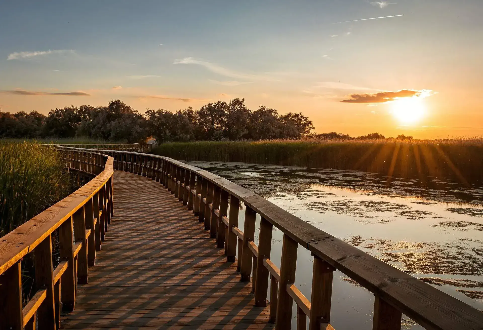 Atardecer en el Parque Nacional de las Tablas de Daimiel
