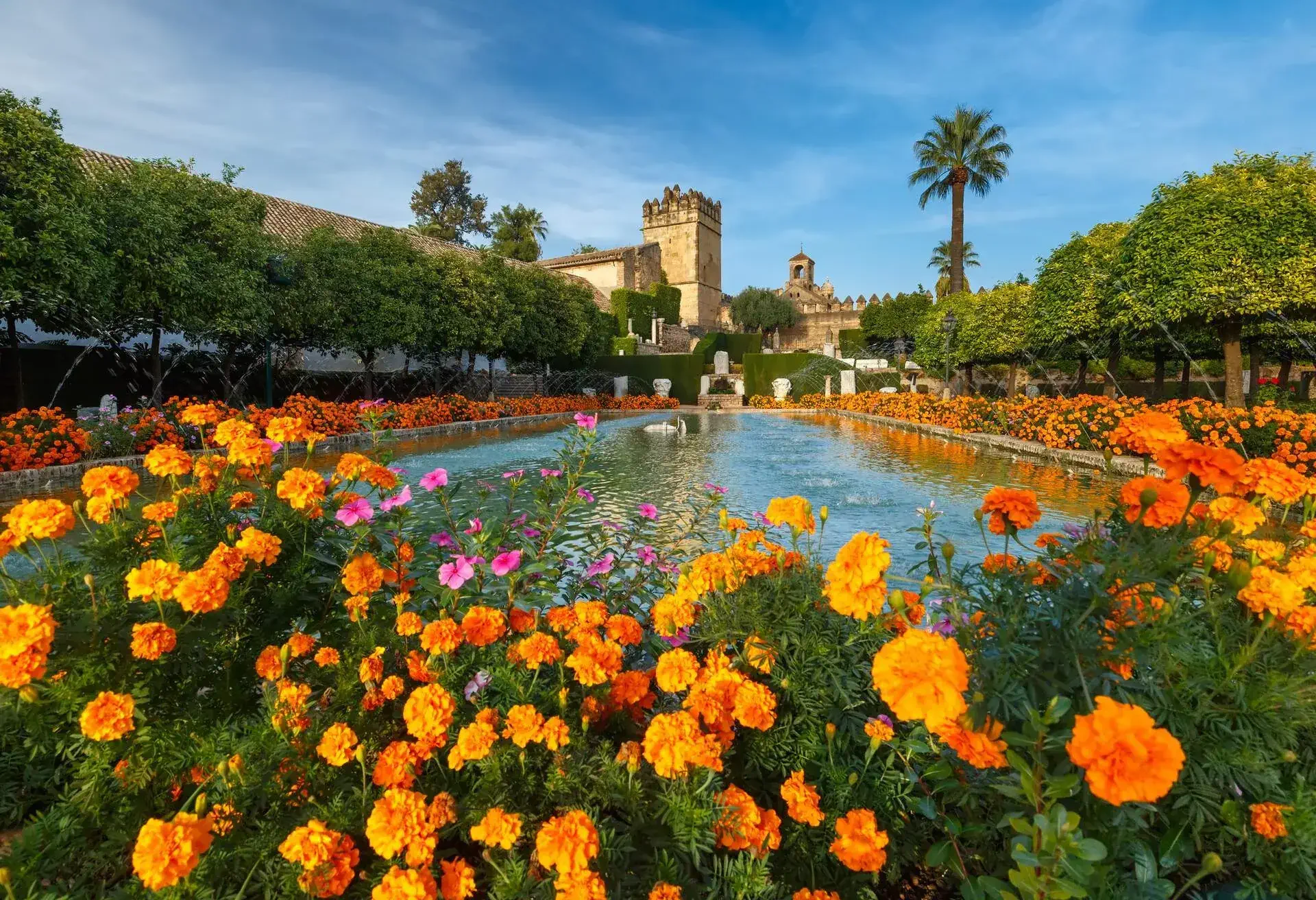 DEST_SPAIN_CORDOBA_ALCAZAR_shutterstock-premier_511384591