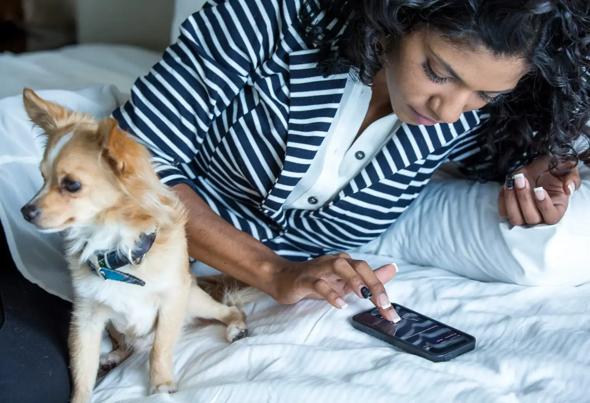 THEME_PETS_DOG_TRAVEL_HOTEL_PEOPLE_DEVICE_GettyImages-573104839