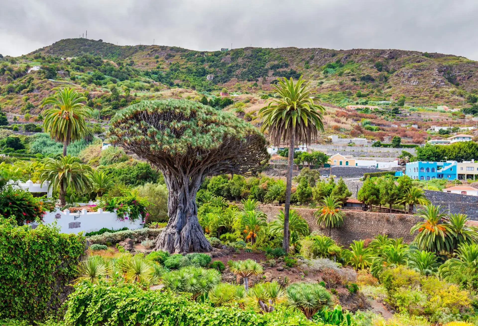 DEST_CANARY-ISLANDS_TENERIFE_ICOS-DE-LOS-VINOS_GettyImages-621387656