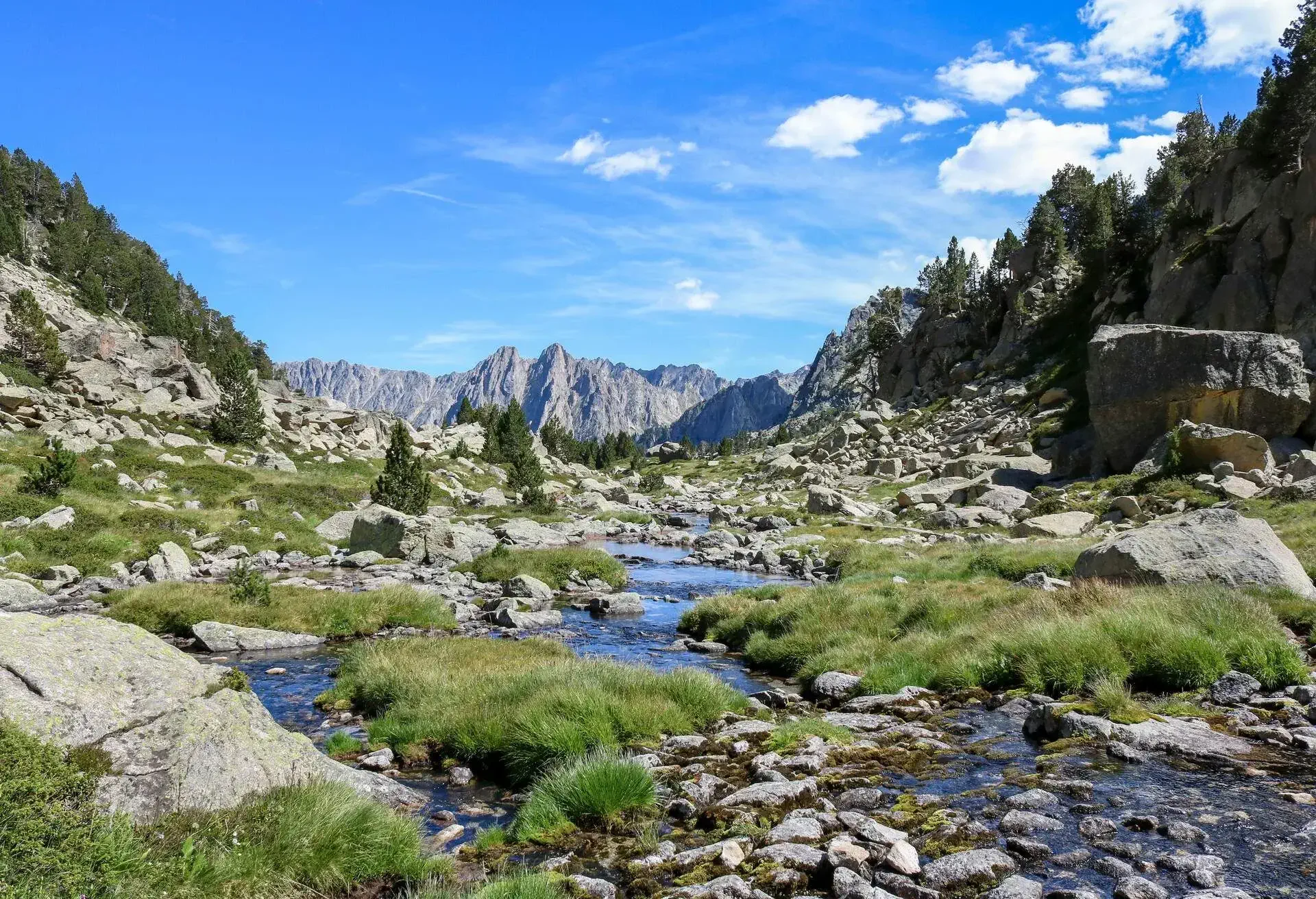 Ratera river, Aigües Tortes i Estany de Sant Maurici National Park, Lleida, Catalonia, Spain.
