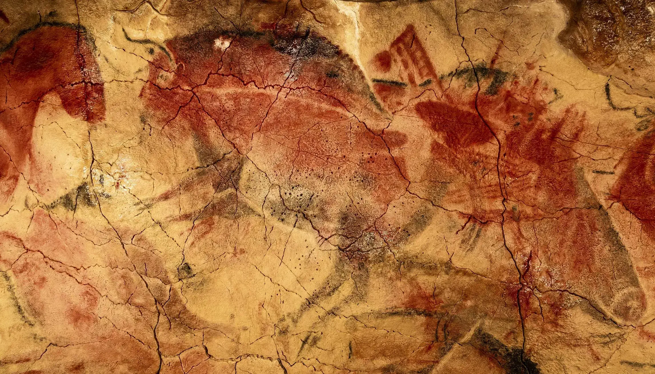 Pinturas rupestres de la cueva de Altamira
Paleolithic rock painting of a bison and a horse from the Altamira cave, Santillana del Mar, Cantabria, Spain