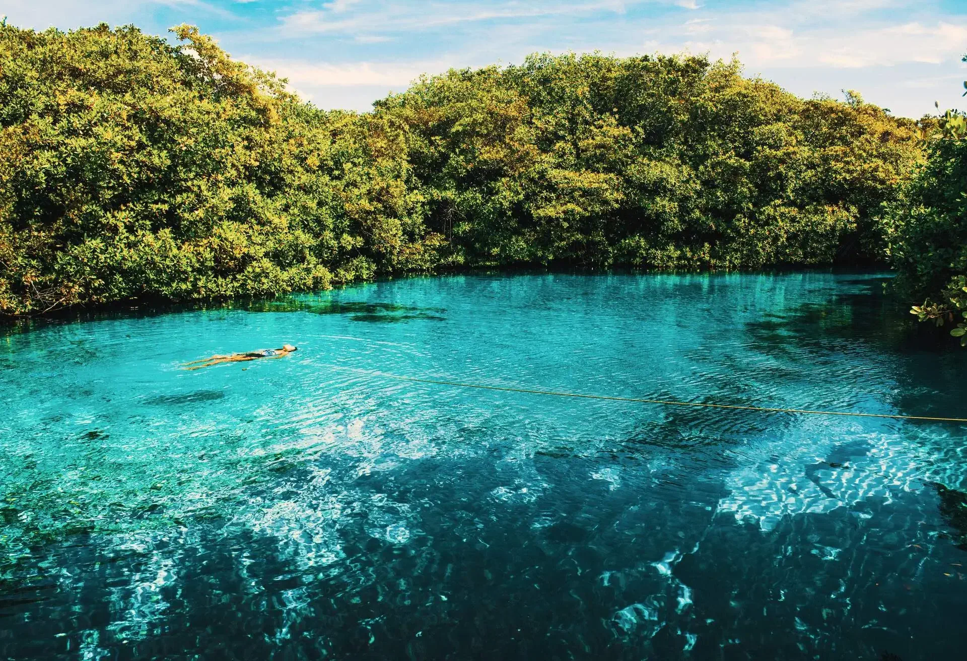 A woman floats in a Cenote in Mexico. Rivera Maya.