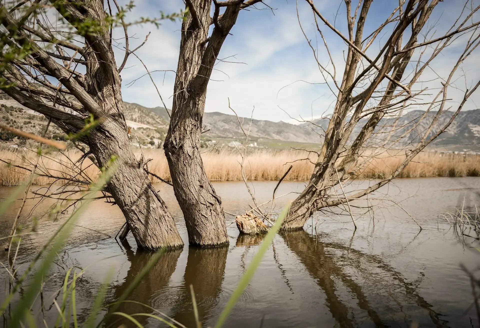 DEST_SPAIN_GRANADA_PADUL_MAMMOTH_TRAIL_GettyImages-1047460454