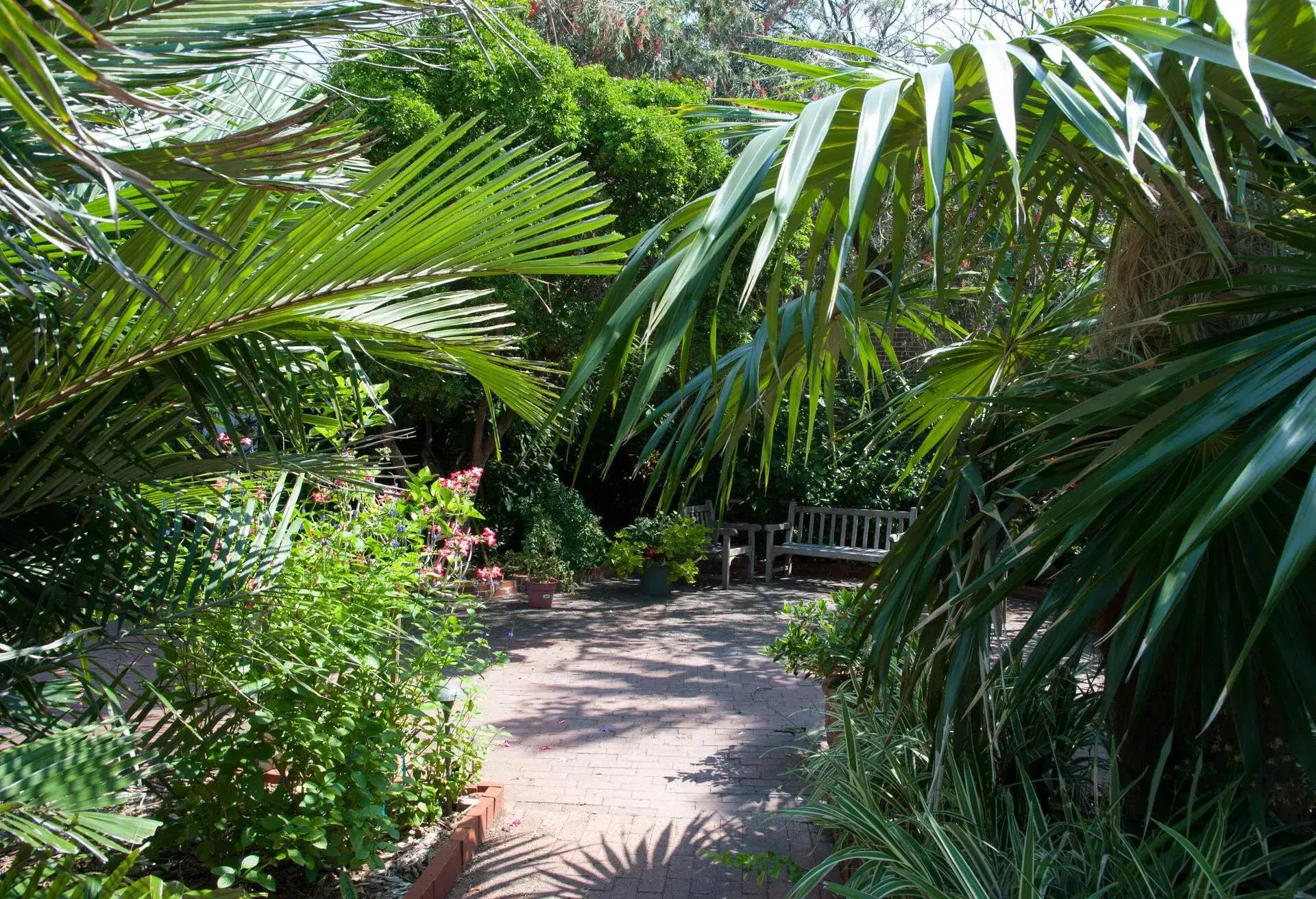 The path inside Key West botanical garden surrounded by lush tropical greenery (Florida).; Shutterstock ID 1650916912
