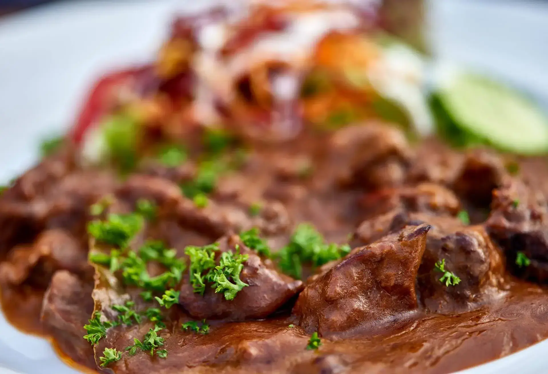 Stoofvlees - carbonade flamande, Flemish beef stew, Belgian cuisine