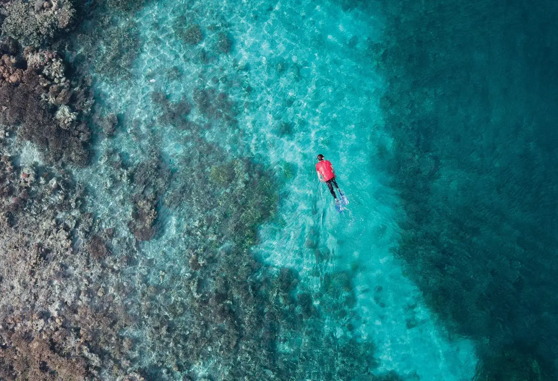 DEST_INDONESIA_EAST-NUSA-TENGGARA_GILI-LAWA_KOMODO-ISLAND_CORAL-REEF_GettyImages-824219930