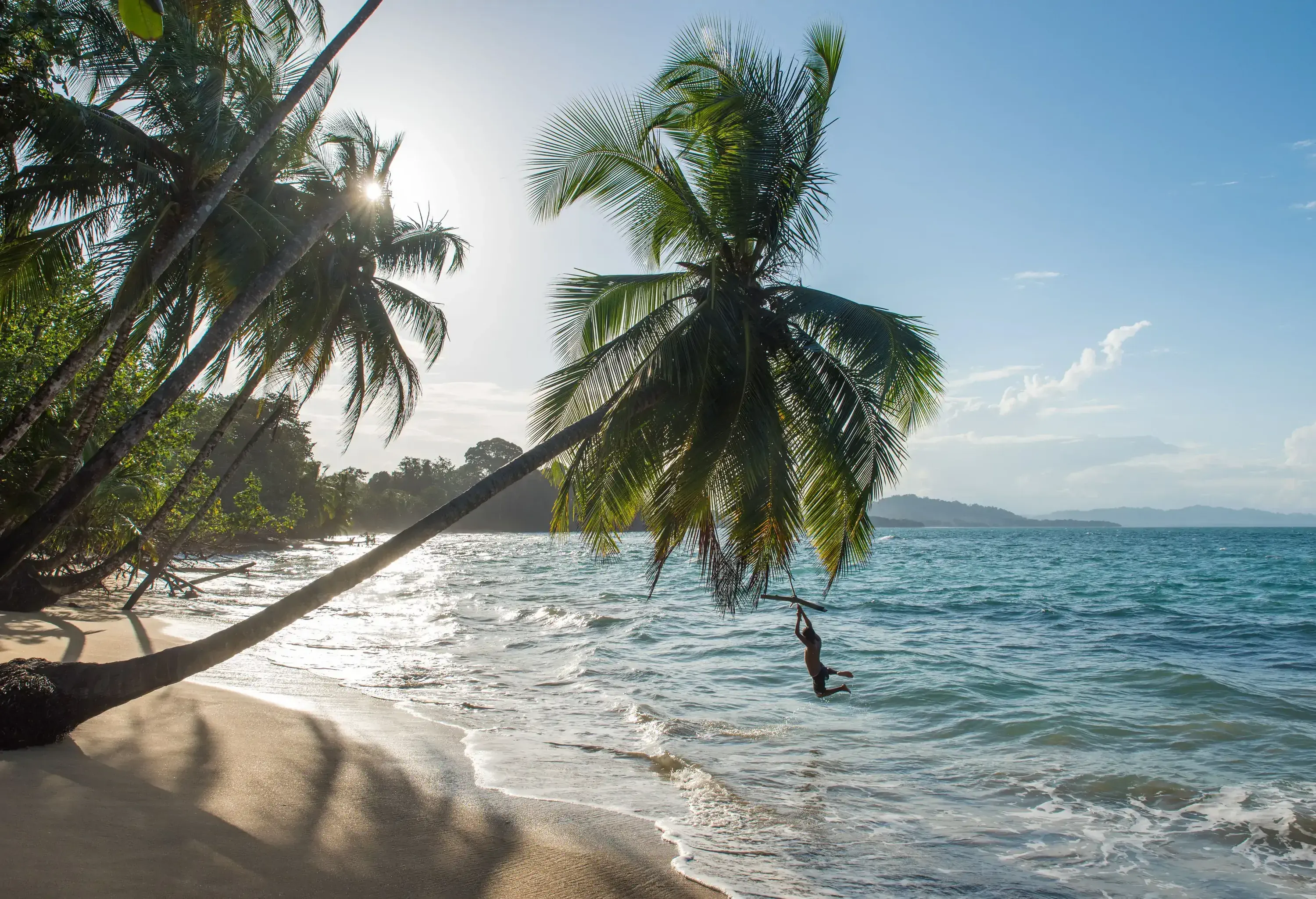 Silhouette of a person swinging from an inclined palm tree above the glistening waves of a beach.