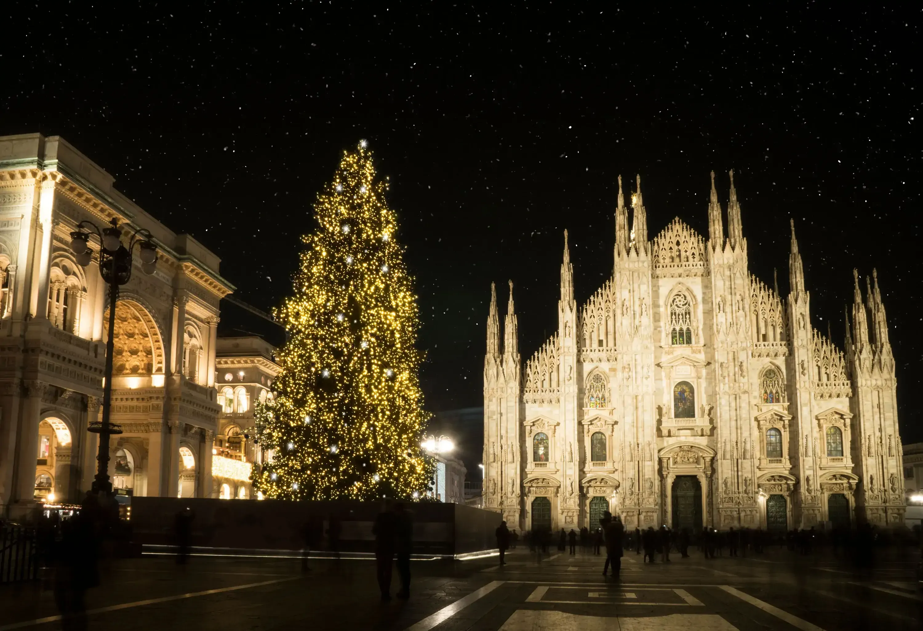 A large, brightly lit Christmas tree in a city square at night, next to an illuminated grand, ornate cathedral.