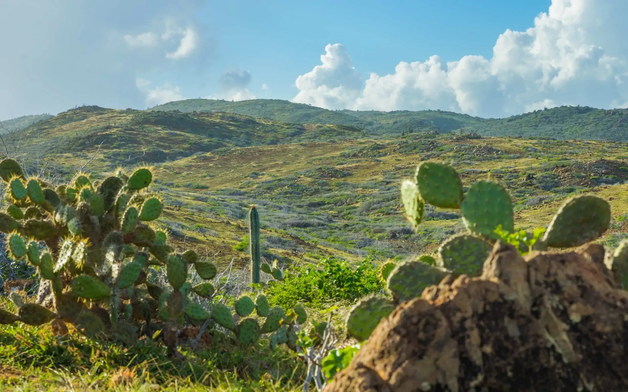 Aruba landscape in Arikok Nation Park