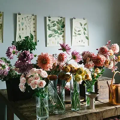Ve por flores