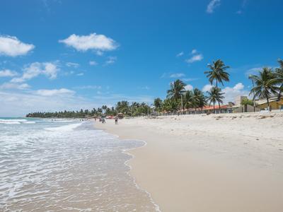 Tamandare