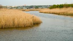 Hoteles en Secaucus