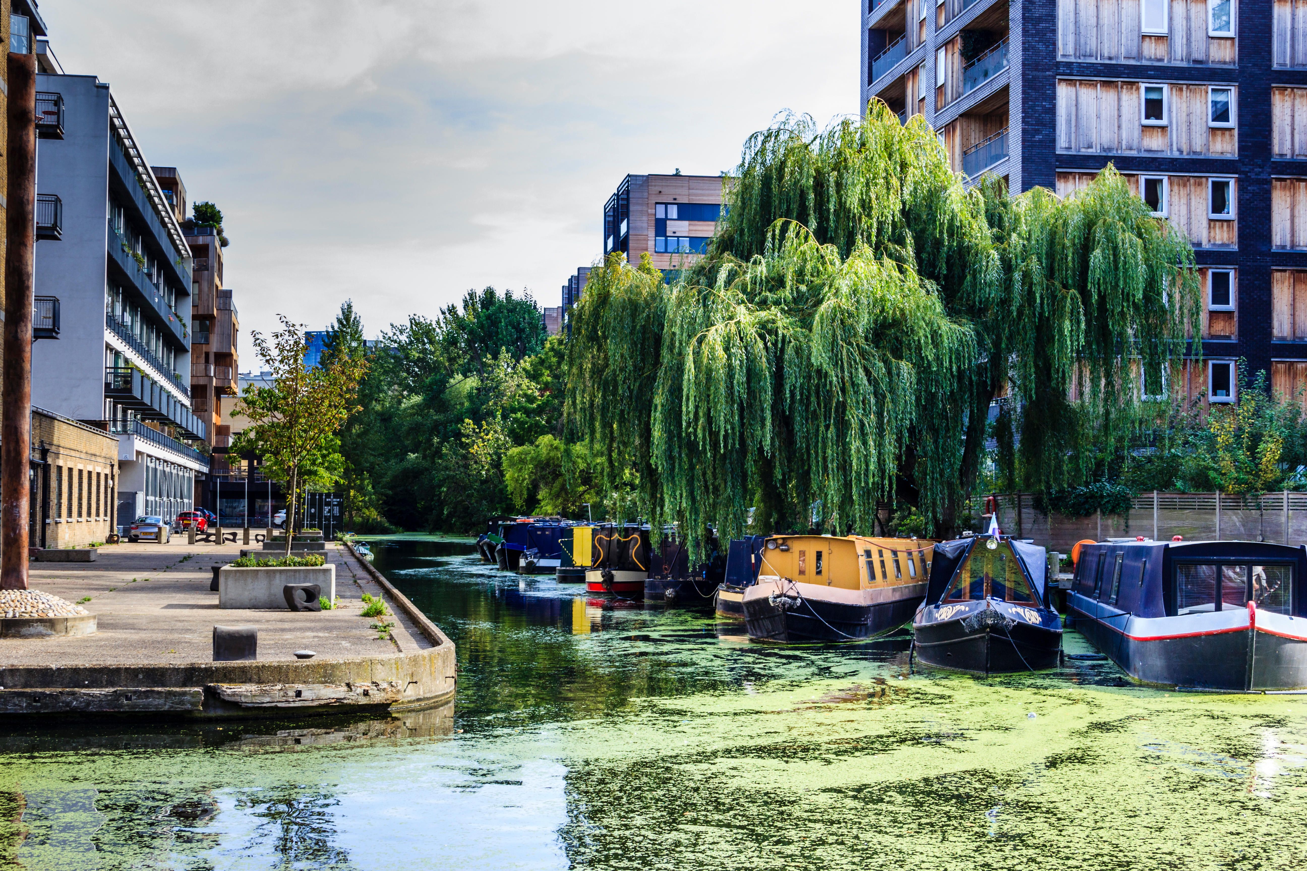 Hoteles en Islington, Londres