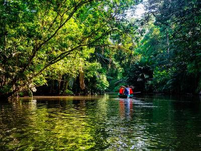 Tortuguero