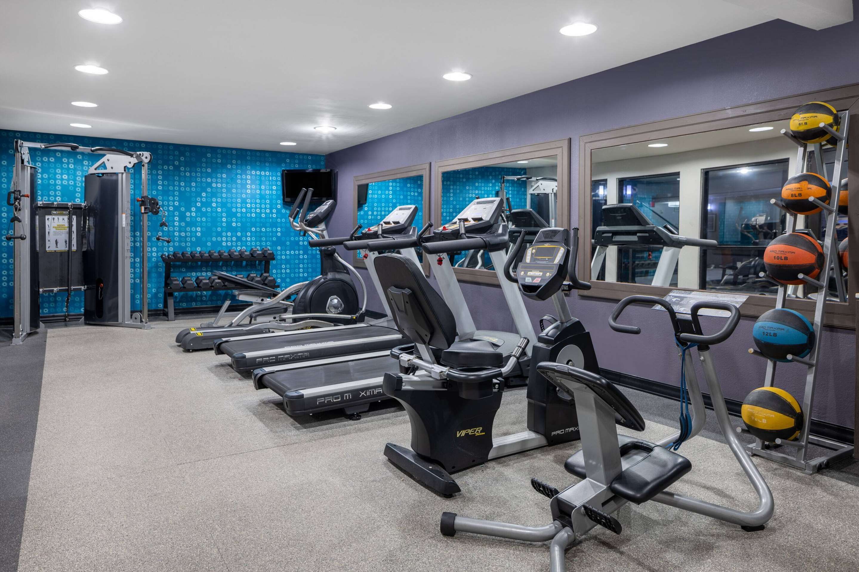 Gimnasio