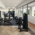 Gimnasio