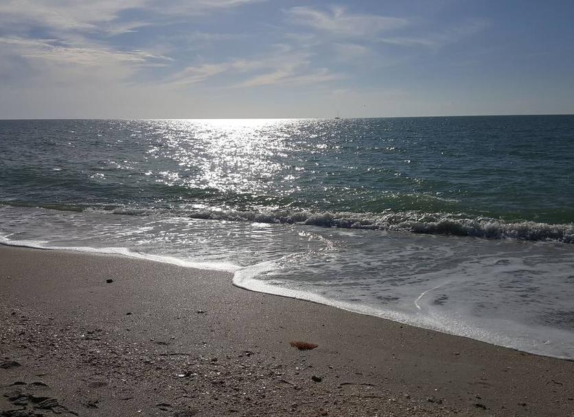 Playa Foto