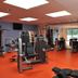 Gimnasio