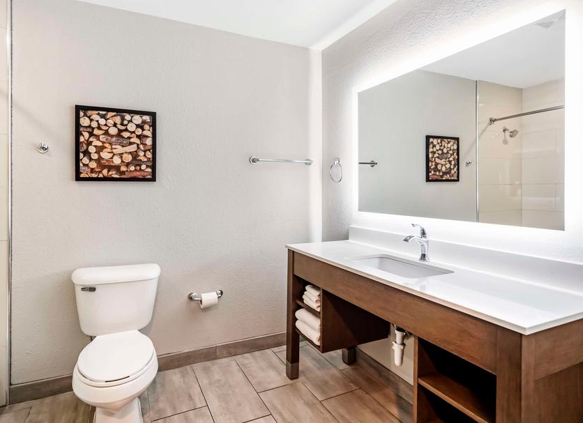 Baño Foto