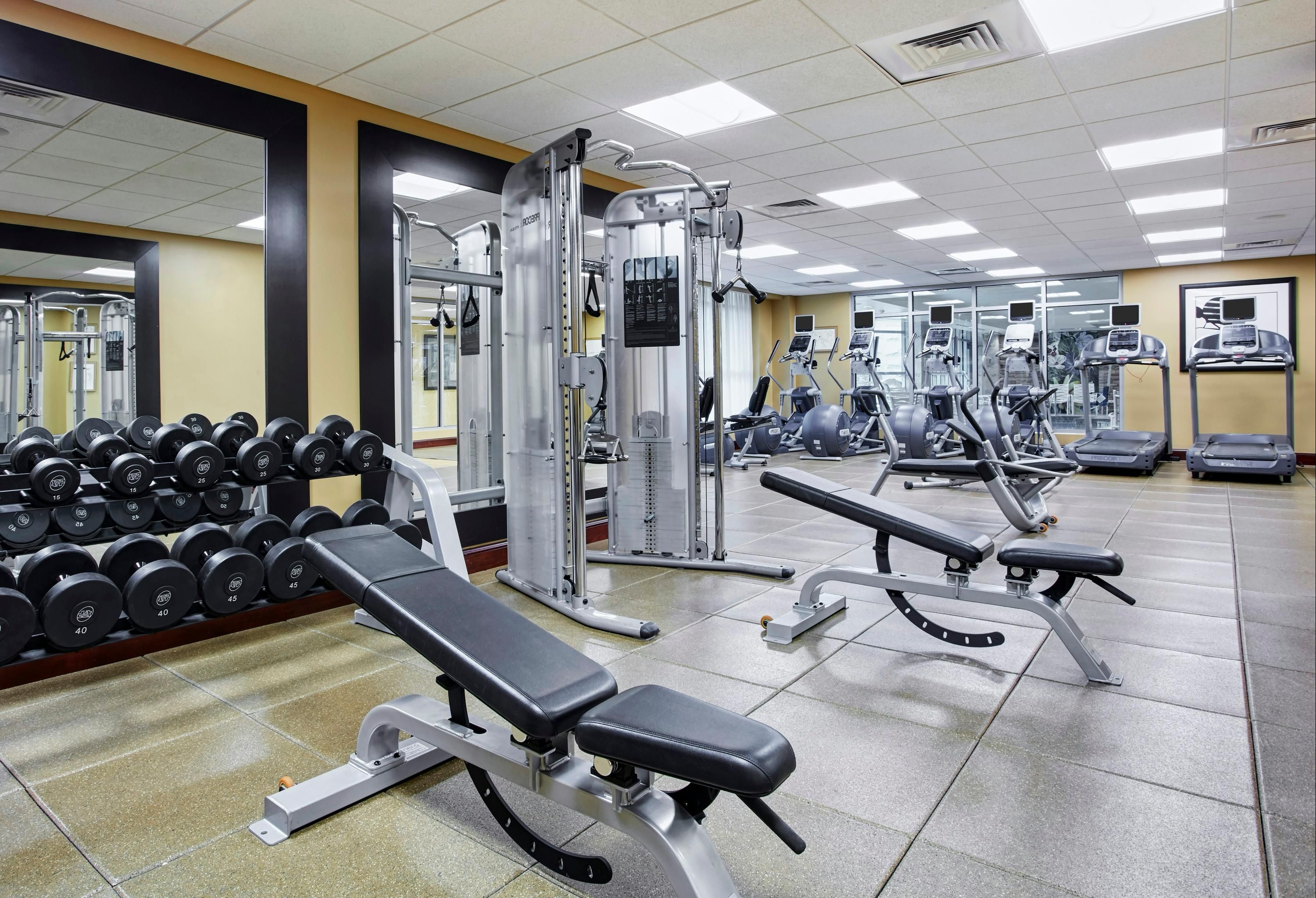 Gimnasio