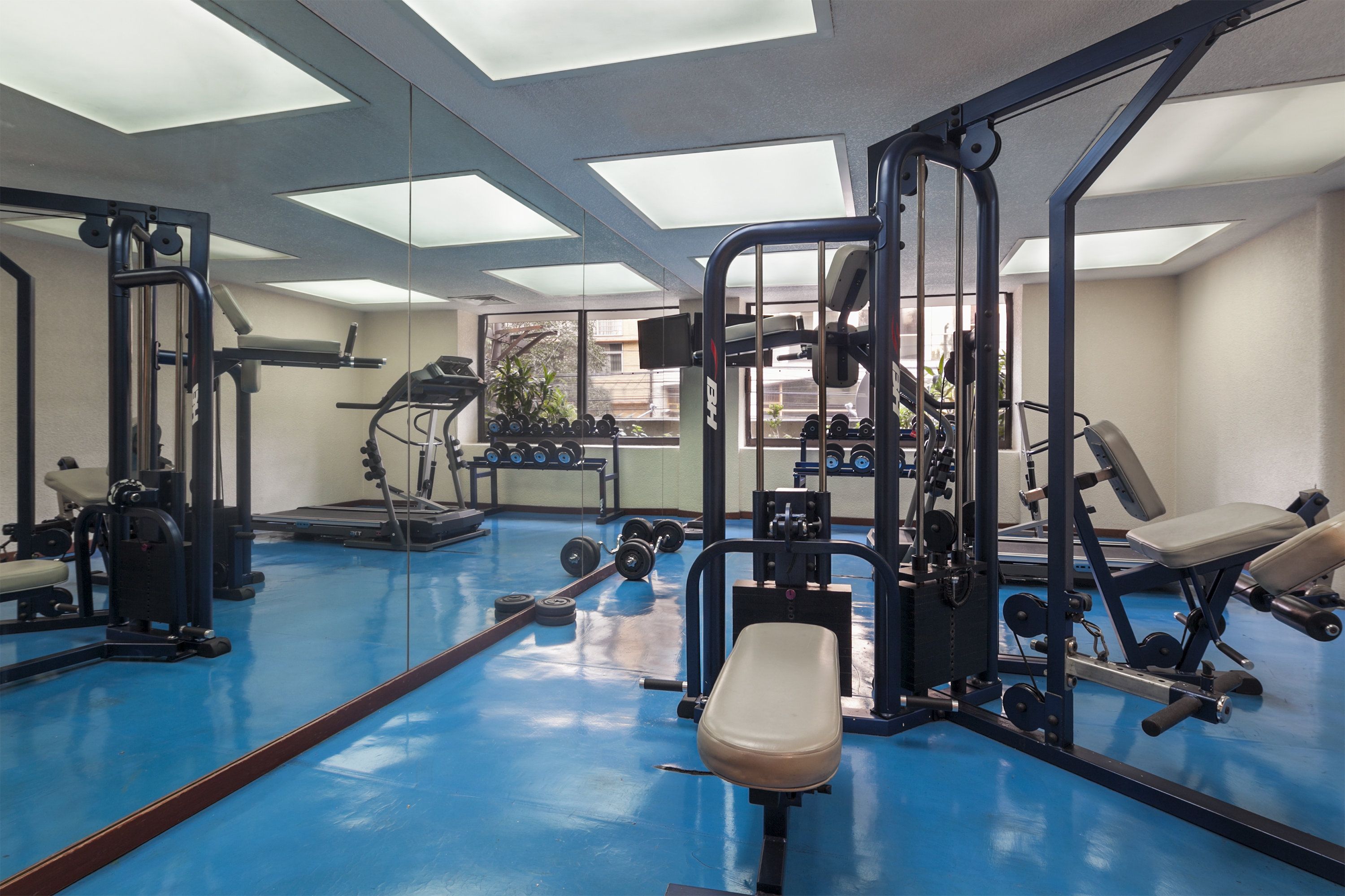 Gimnasio