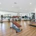 Gimnasio