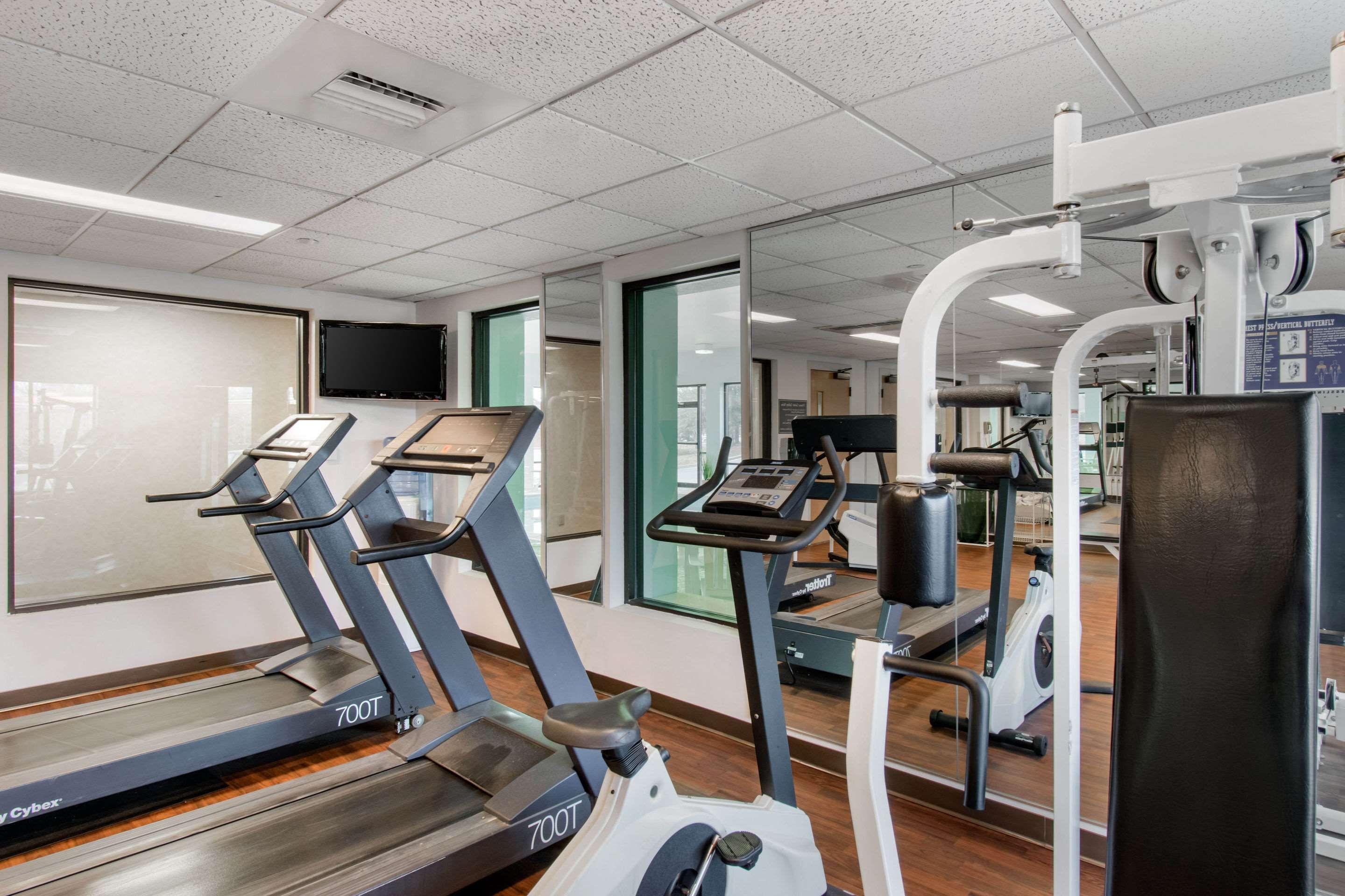 Gimnasio