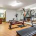 Gimnasio