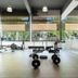 Gimnasio