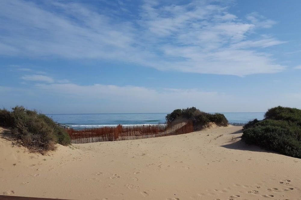 Playa Foto