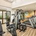 Gimnasio