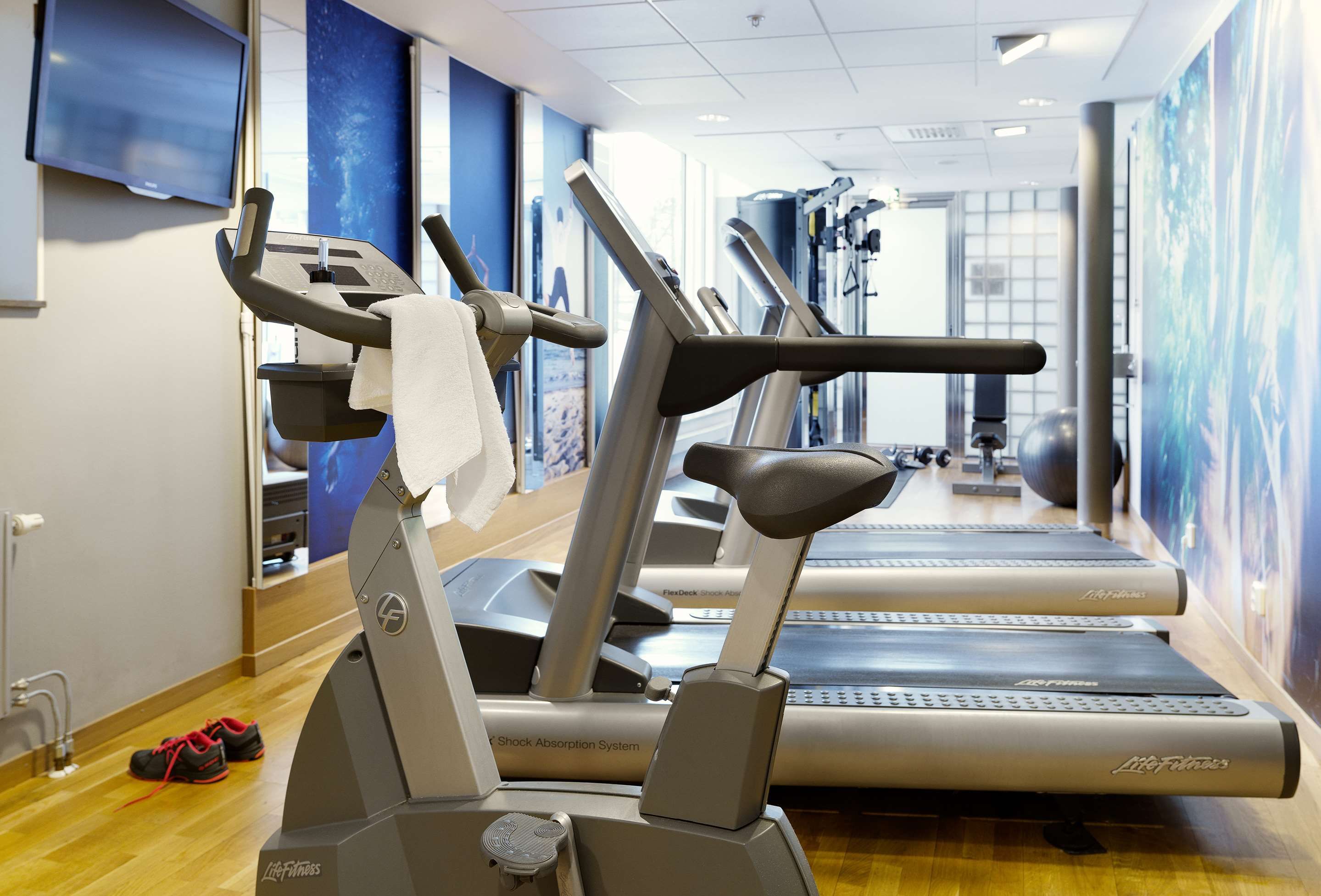 Gimnasio