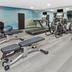 Gimnasio