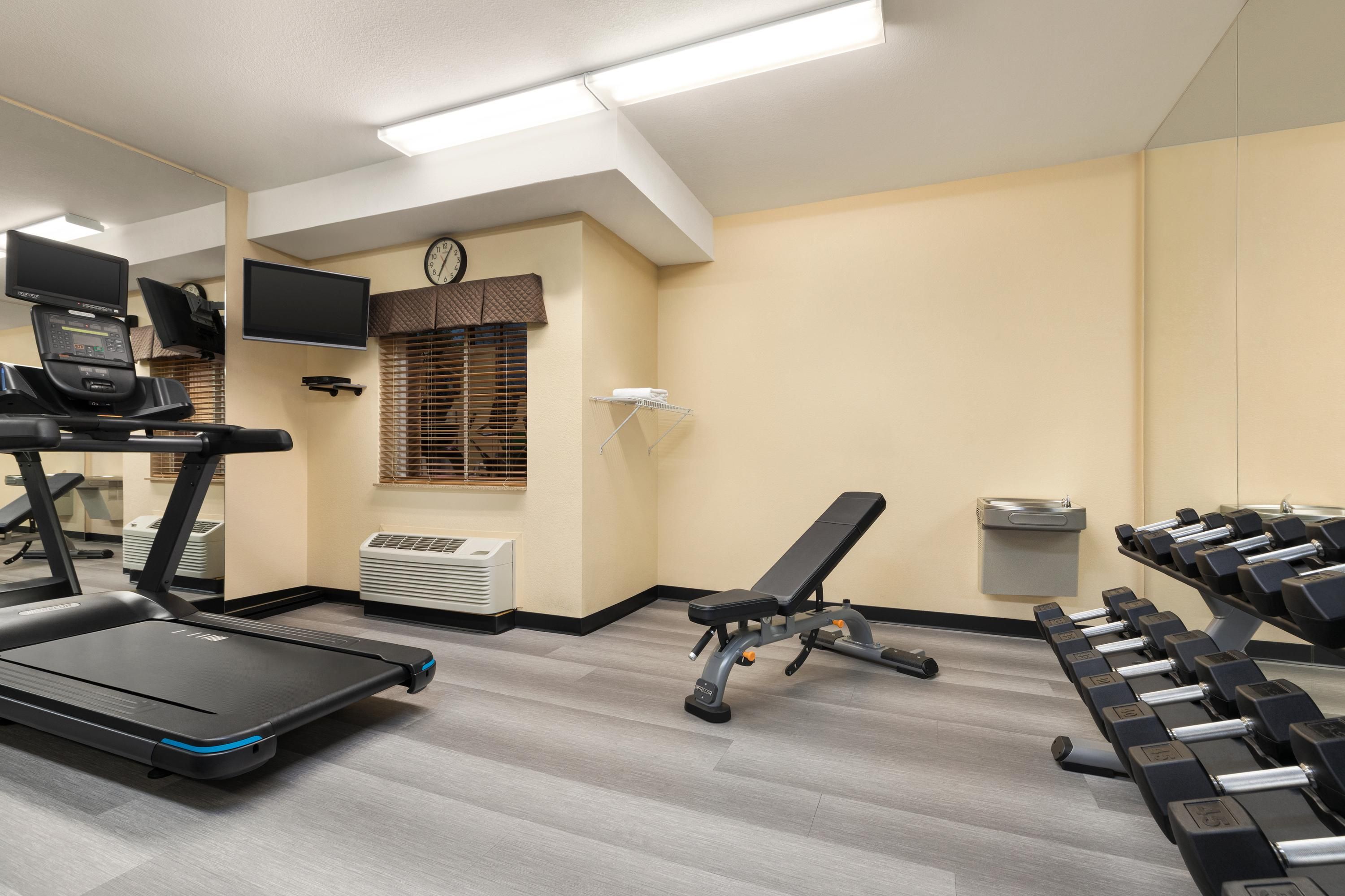 Gimnasio
