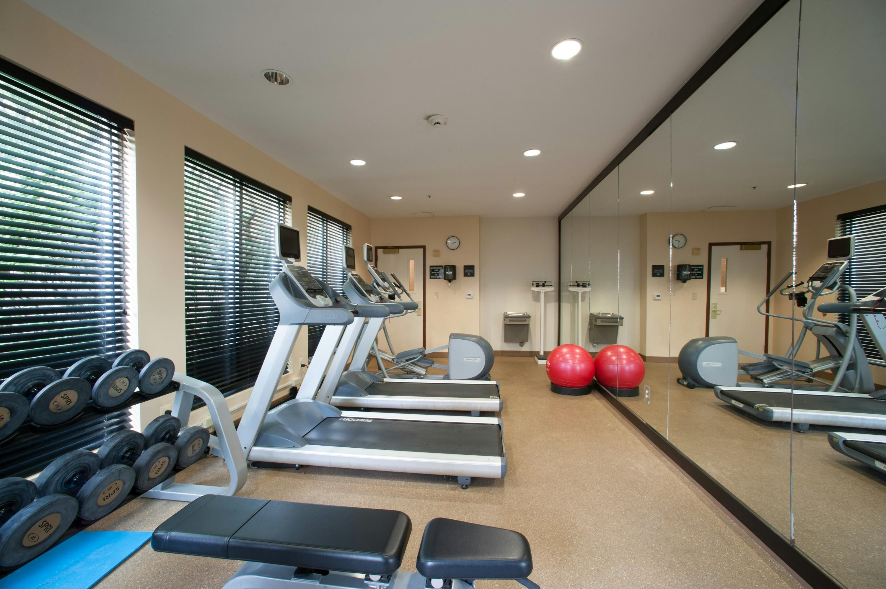 Gimnasio