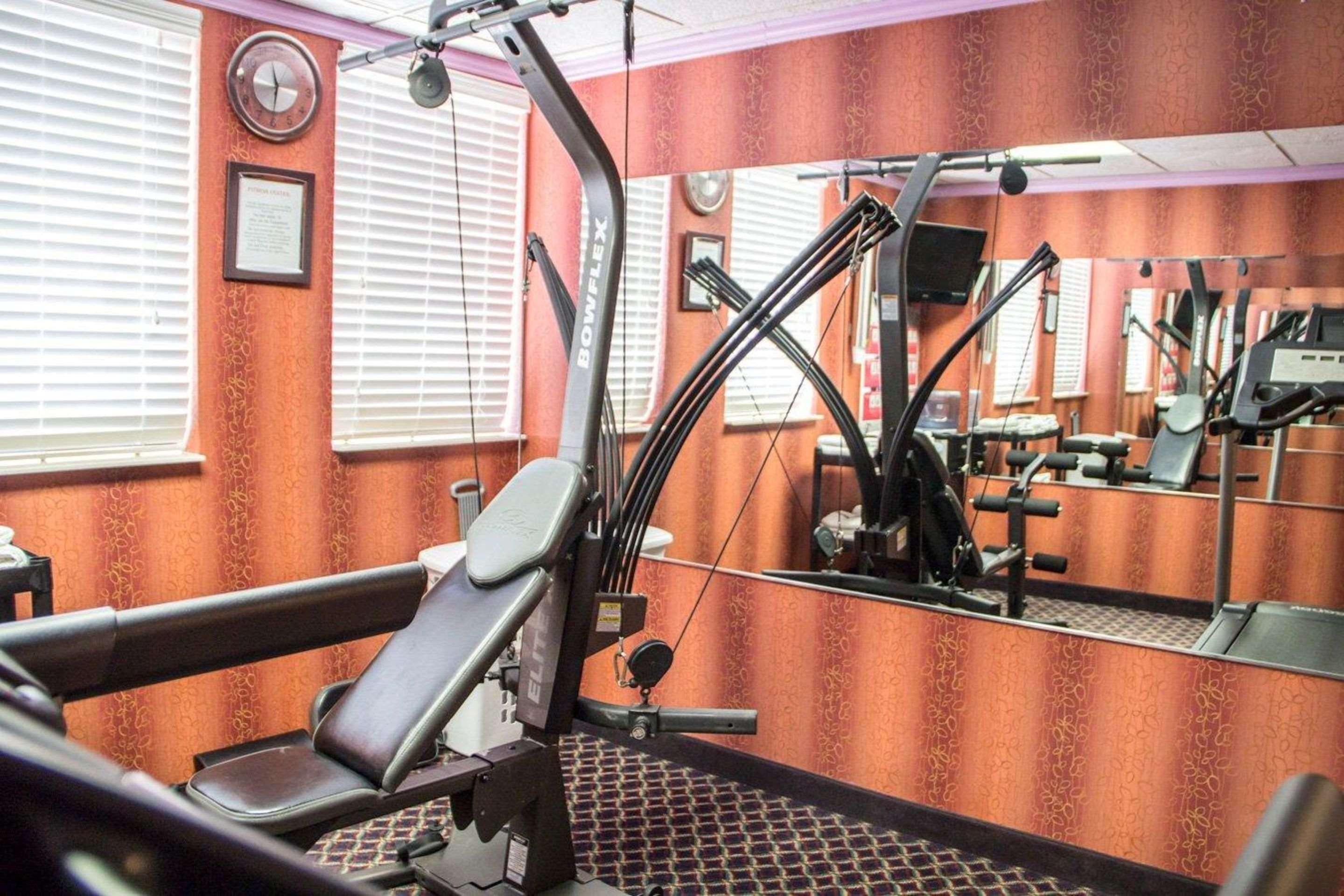 Gimnasio